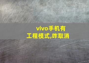 vivo手机有工程模式,咋取消