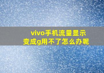 vivo手机流量显示变成g用不了怎么办呢