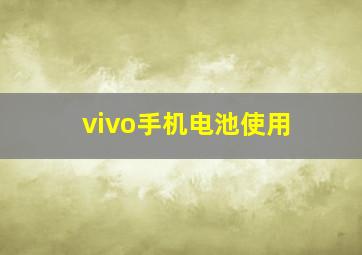 vivo手机电池使用