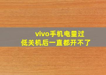 vivo手机电量过低关机后一直都开不了