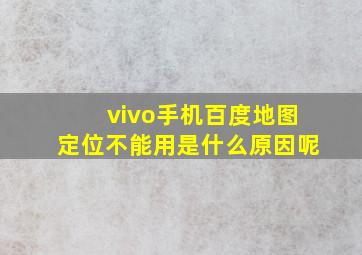 vivo手机百度地图定位不能用是什么原因呢