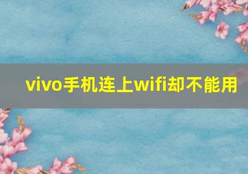 vivo手机连上wifi却不能用