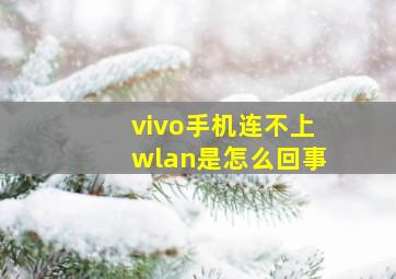 vivo手机连不上wlan是怎么回事