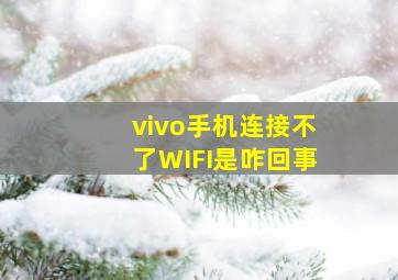 vivo手机连接不了WIFI是咋回事