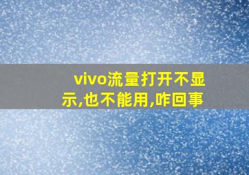 vivo流量打开不显示,也不能用,咋回事