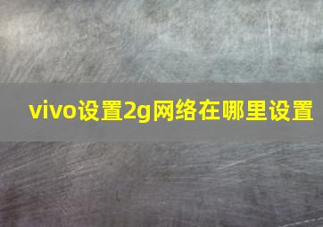 vivo设置2g网络在哪里设置