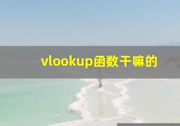 vlookup函数干嘛的