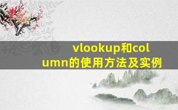 vlookup和column的使用方法及实例