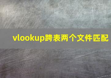 vlookup跨表两个文件匹配