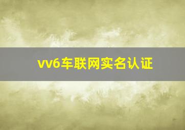 vv6车联网实名认证