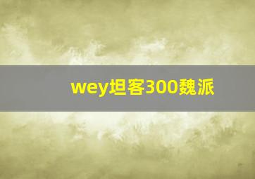 wey坦客300魏派