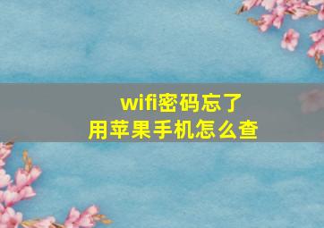 wifi密码忘了用苹果手机怎么查