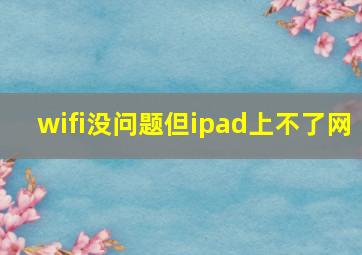 wifi没问题但ipad上不了网