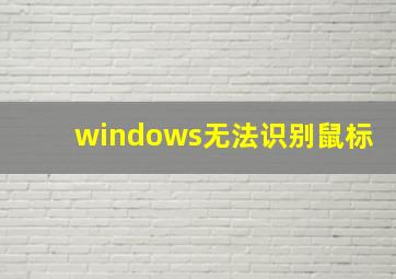 windows无法识别鼠标