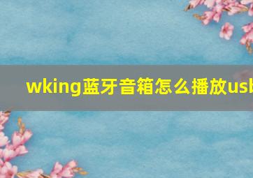 wking蓝牙音箱怎么播放usb