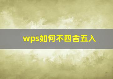 wps如何不四舍五入