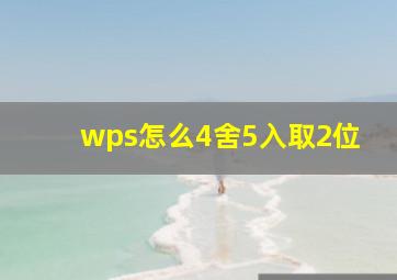 wps怎么4舍5入取2位