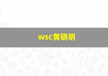 wsc黄晓明