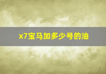 x7宝马加多少号的油