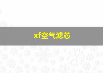 xf空气滤芯