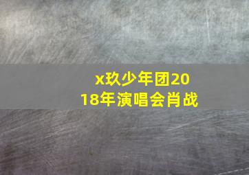 x玖少年团2018年演唱会肖战