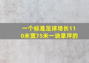 一个标准足球场长110米宽75米一块草坪的