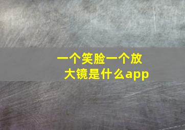 一个笑脸一个放大镜是什么app