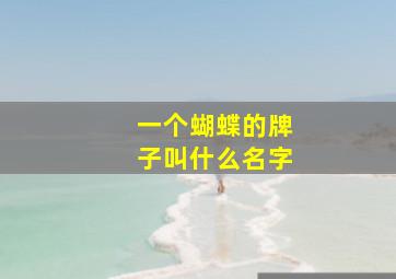 一个蝴蝶的牌子叫什么名字