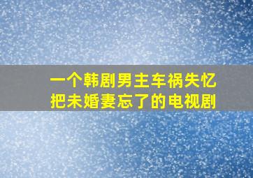 一个韩剧男主车祸失忆把未婚妻忘了的电视剧