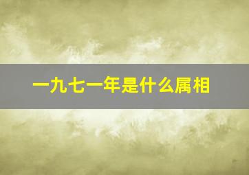 一九七一年是什么属相