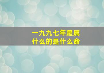 一九九七年是属什么的是什么命