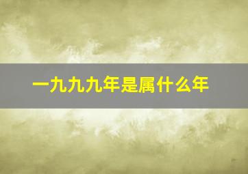 一九九九年是属什么年