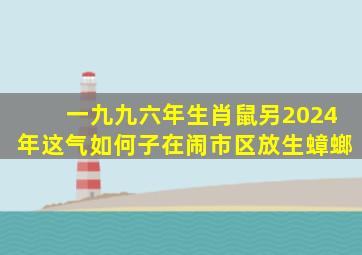 一九九六年生肖鼠另2024年这气如何子在闹市区放生蟑螂