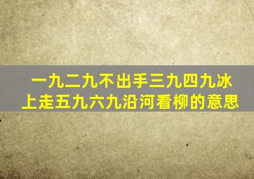 一九二九不出手三九四九冰上走五九六九沿河看柳的意思