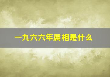 一九六六年属相是什么