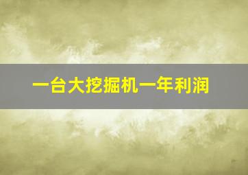 一台大挖掘机一年利润