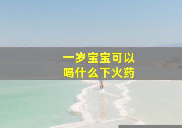 一岁宝宝可以喝什么下火药