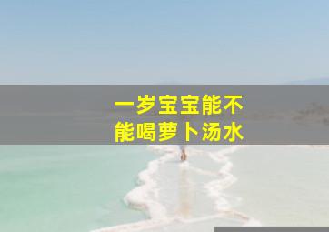 一岁宝宝能不能喝萝卜汤水