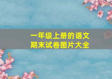 一年级上册的语文期末试卷图片大全