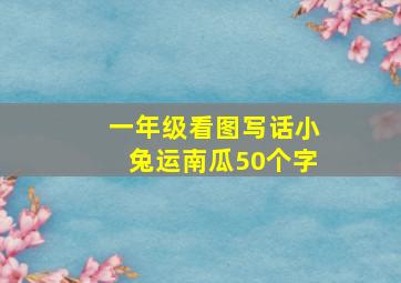 一年级看图写话小兔运南瓜50个字