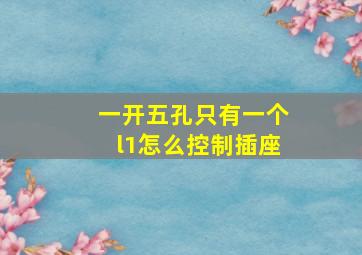 一开五孔只有一个l1怎么控制插座