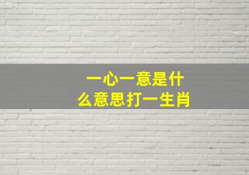 一心一意是什么意思打一生肖