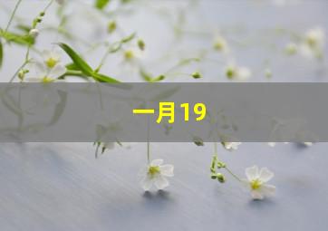 一月19