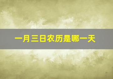 一月三日农历是哪一天