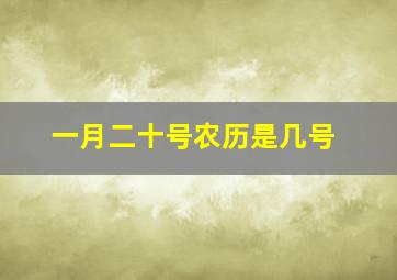 一月二十号农历是几号