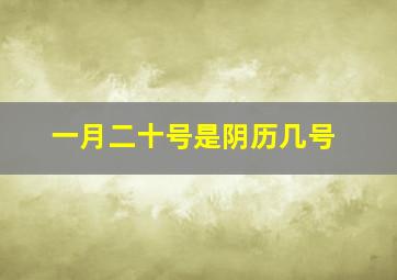 一月二十号是阴历几号