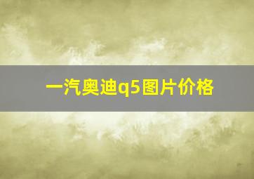 一汽奥迪q5图片价格