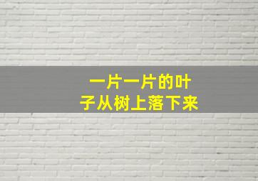 一片一片的叶子从树上落下来