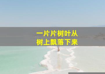 一片片树叶从树上飘落下来