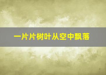 一片片树叶从空中飘落